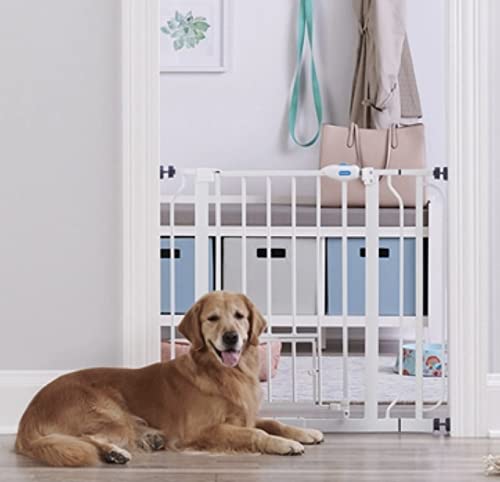 CARLSON EXTRA-WIDE WALK-THRU GATE WITH PET DOOR, WHITE