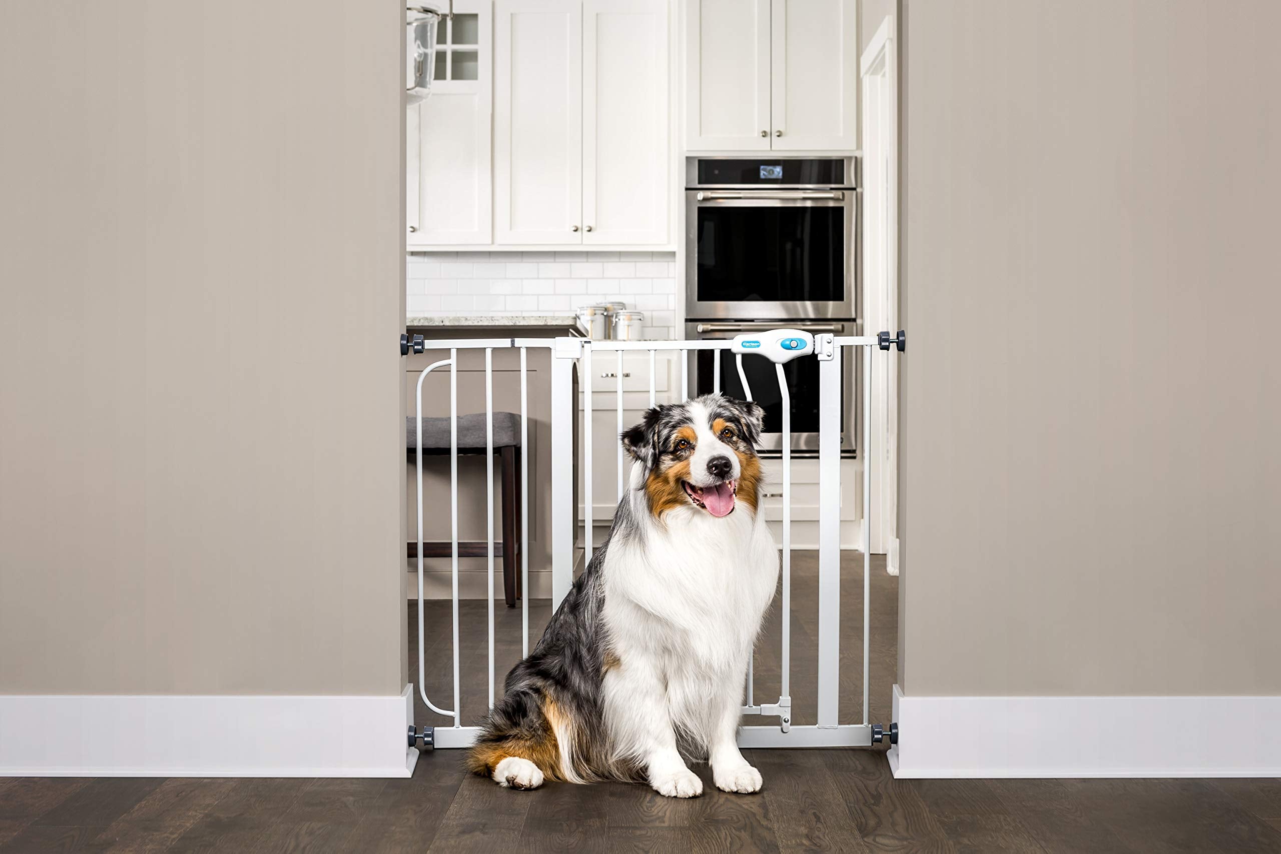 CARLSON EXTRA-WIDE WALK-THRU GATE WITH PET DOOR, WHITE