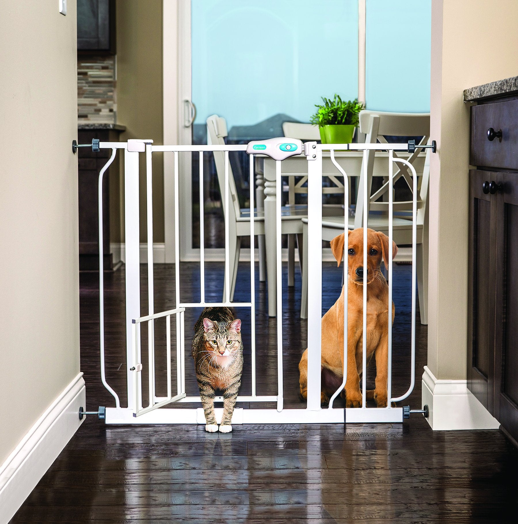 CARLSON EXTRA-WIDE WALK-THRU GATE WITH PET DOOR, WHITE